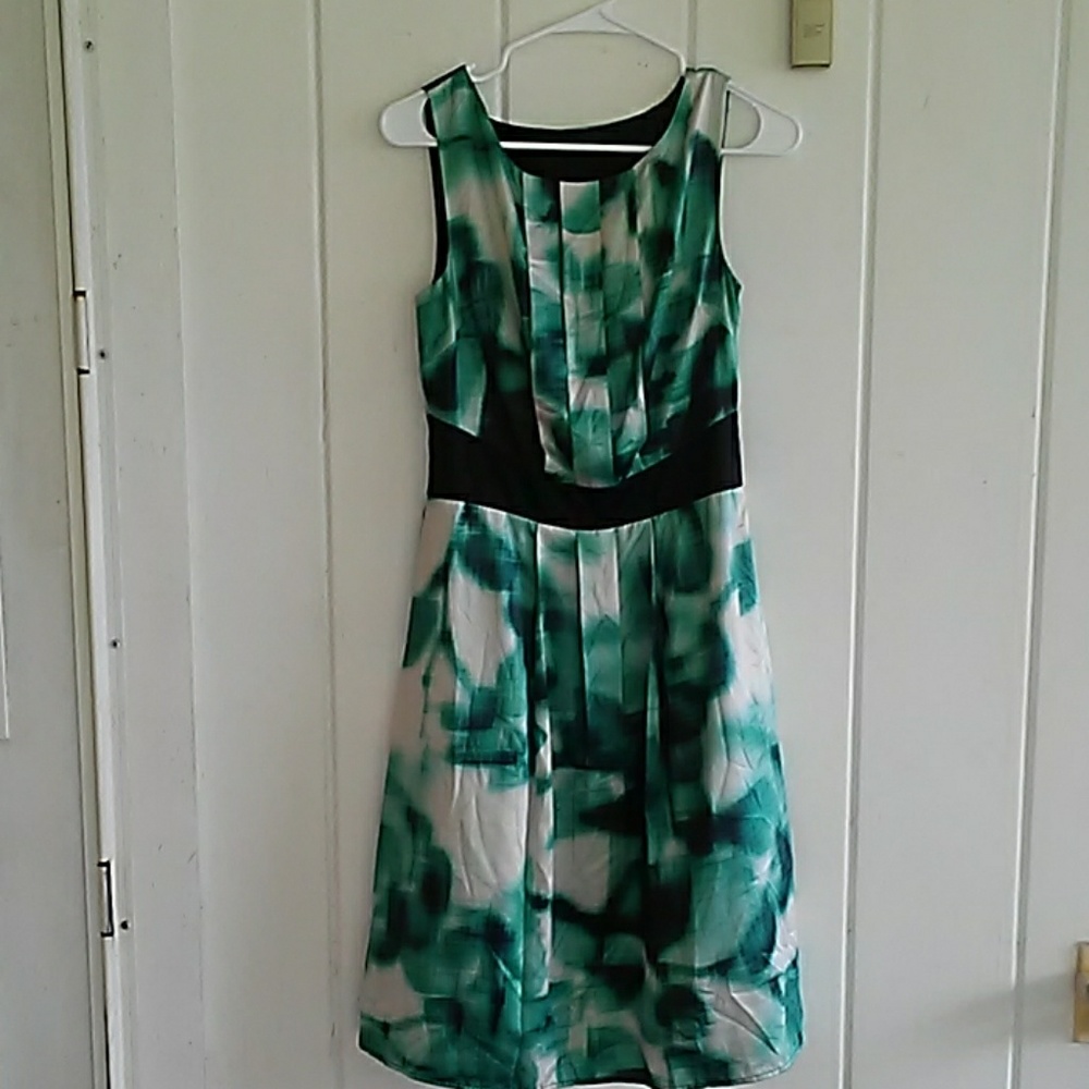 The Limited sleeveless dress